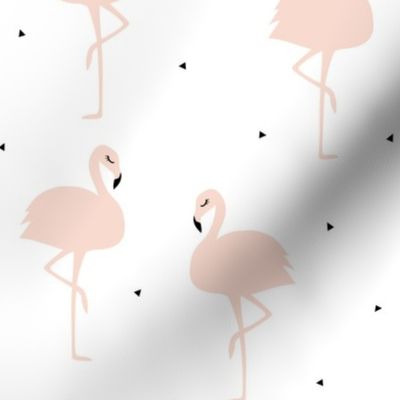 Flamingos