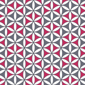 Flower_of_Life_Pattern_red-grey