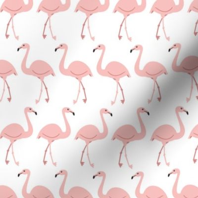 Flamingo Row