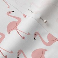 Flamingo Row