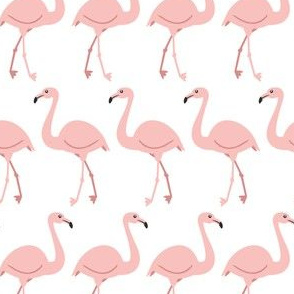 Flamingo Row