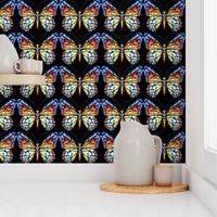 butterfly butterflies insects colorful stained glass rainbow yellow blue red green black white