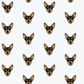 Chihuahua Heads