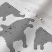 Tinted French Bulldog sketch - small white