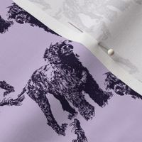 Small Posing Portuguese Water Dog - purple