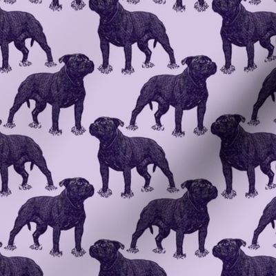 Small Posing Staffordshire Bull Terrier - purple