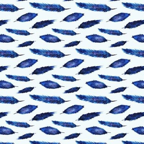 Space feathers on blue background
