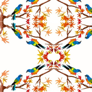 Large Kaleidoscope birds