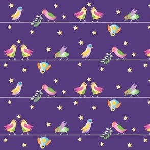 Colourful Little LoveBirds on a Wire_night purple