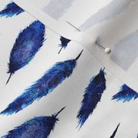 Starry night feathers