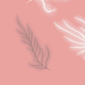 Pink_Feather