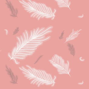Pink_Feather