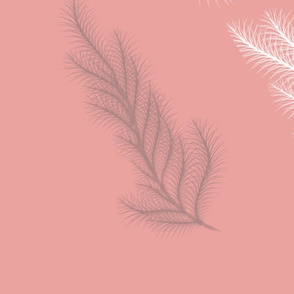 Pink_Feather