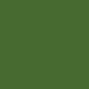 Solid Treetop Green (#476a30)