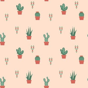 Scattered Succulents 