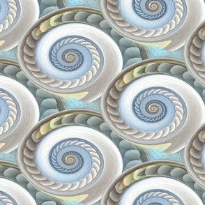 spiral mother of pearl