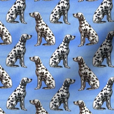 Small Sitting Dalmatians - blue