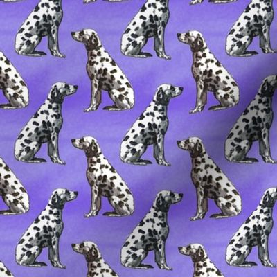 Small Sitting Dalmatians - purple