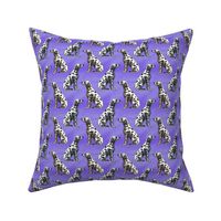 Small Sitting Dalmatians - purple