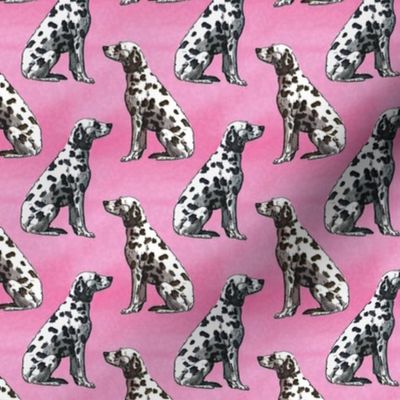 Small Sitting Dalmatians - pink