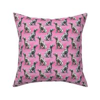 Small Sitting Dalmatians - pink