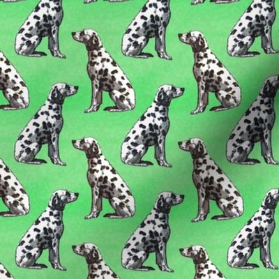 Small Sitting Dalmatians - green