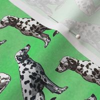 Small Sitting Dalmatians - green