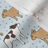 French Bulldog toons and stars - small blue