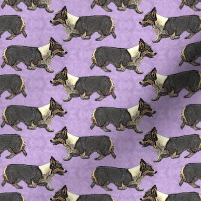 Trotting tri Pemmies - small purple