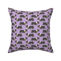 Trotting tri Pemmies - small purple