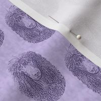 Small Irish Water Spaniel faces - purple