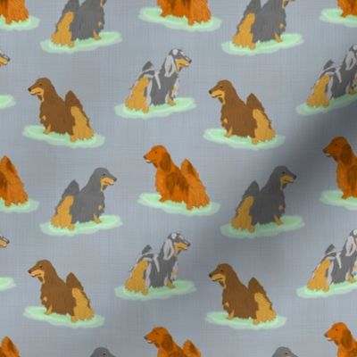 Standing Longhaired Dachshunds - small blue linen