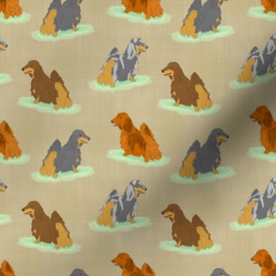 Standing Longhaired Dachshunds - small tan linen