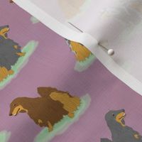 Standing Longhaired Dachshunds - small purple linen