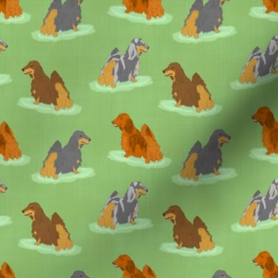 Standing Longhaired Dachshunds - small green linen