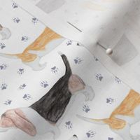 Small Watercolor Basset hounds and pawprints