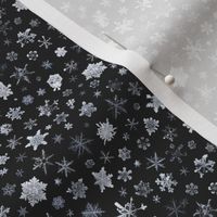 photographic snowflakes on charcoal (small snowflakes)