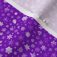 photographic snowflakes on regal purple (small snowflakes)