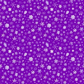 photographic snowflakes on regal purple (small snowflakes)