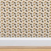 Tiny Trotting Border Terriers and paw prints - white