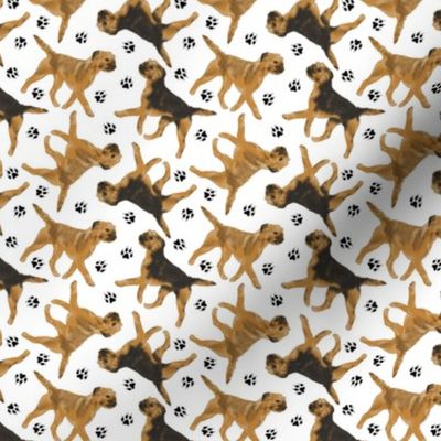 Tiny Trotting Border Terriers and paw prints - white