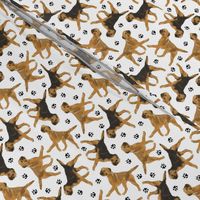 Tiny Trotting Border Terriers and paw prints - white
