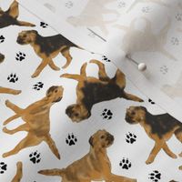 Tiny Trotting Border Terriers and paw prints - white