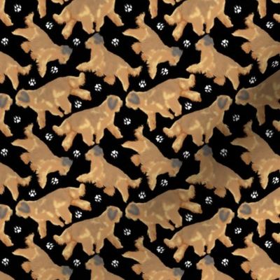 Tiny old Trotting Briards and paw prints - black