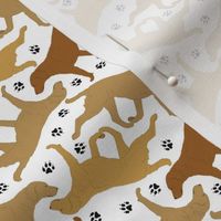 Tiny Trotting Chessies and paw prints - white