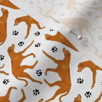 Tiny Trotting Rhodesian ridgeback and paw prints - white