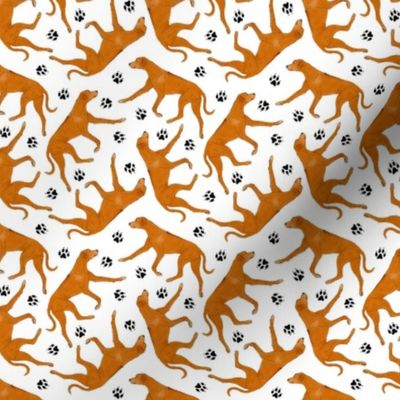 Tiny Trotting Rhodesian ridgeback and paw prints - white