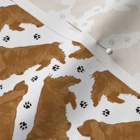 Tiny Trotting Sussex Spaniels and paw prints - white