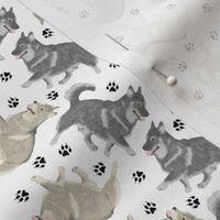 Tiny Trotting Swedish Vallhund and paw prints - white