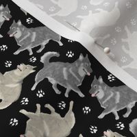 Tiny Trotting Swedish Vallhund and paw prints - black